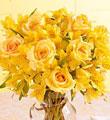 Citrus Burst  Bouquet - Wrapped